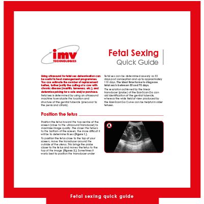 02158 IMV Miniatures articles blog V1 3 Fetal sexing quick guide