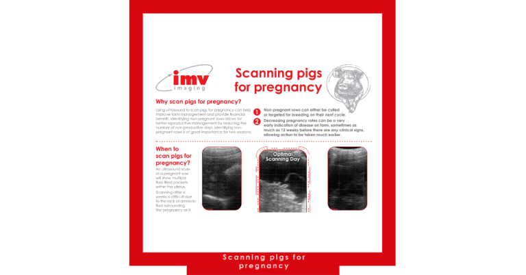 Free Download: Scanning pigs for pregnancy poster