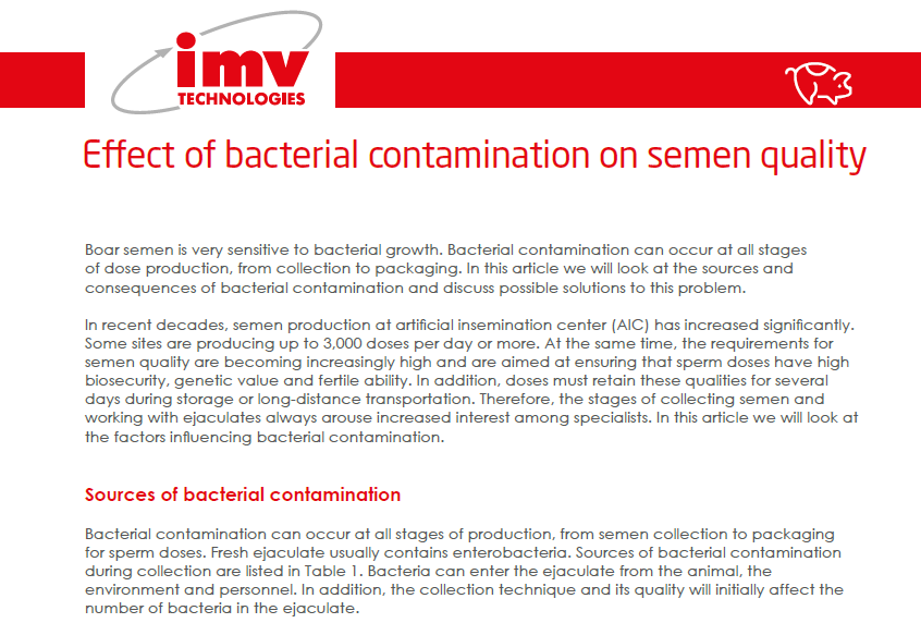 Image text bacterial in semen swine