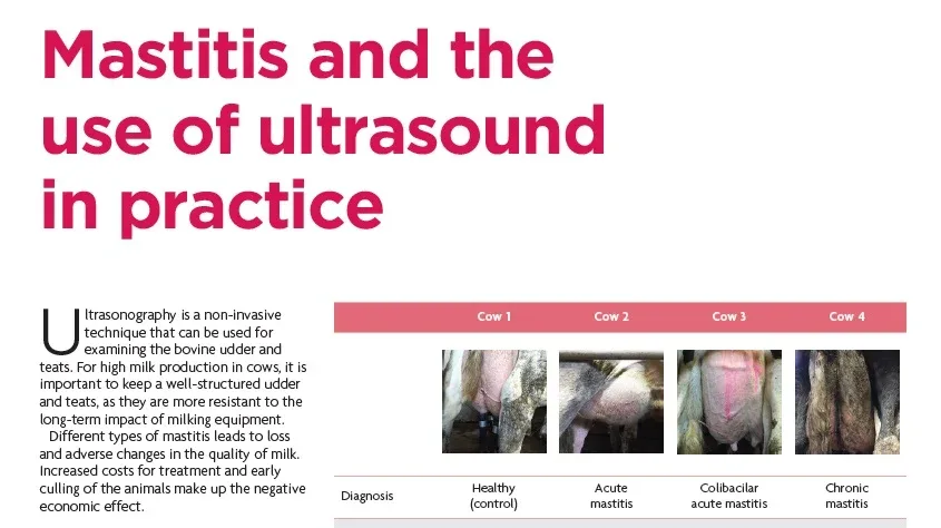 Mastitis and the use of ultrasound in practice photo 1 1