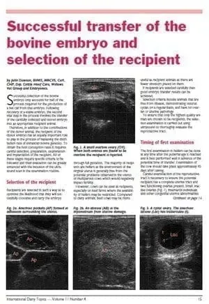 Successful transfer of the bovine embryo and selection of the recipient